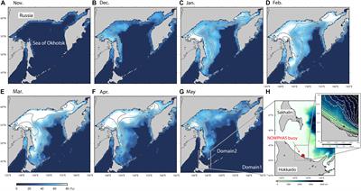 Evaluation of Wave-Ice Parameterization Models in WAVEWATCH III® Along the Coastal Area of the Sea of Okhotsk During Winter